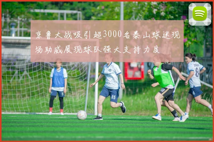 京鲁大战吸引超3000名泰山球迷现场助威展现球队强大支持力度